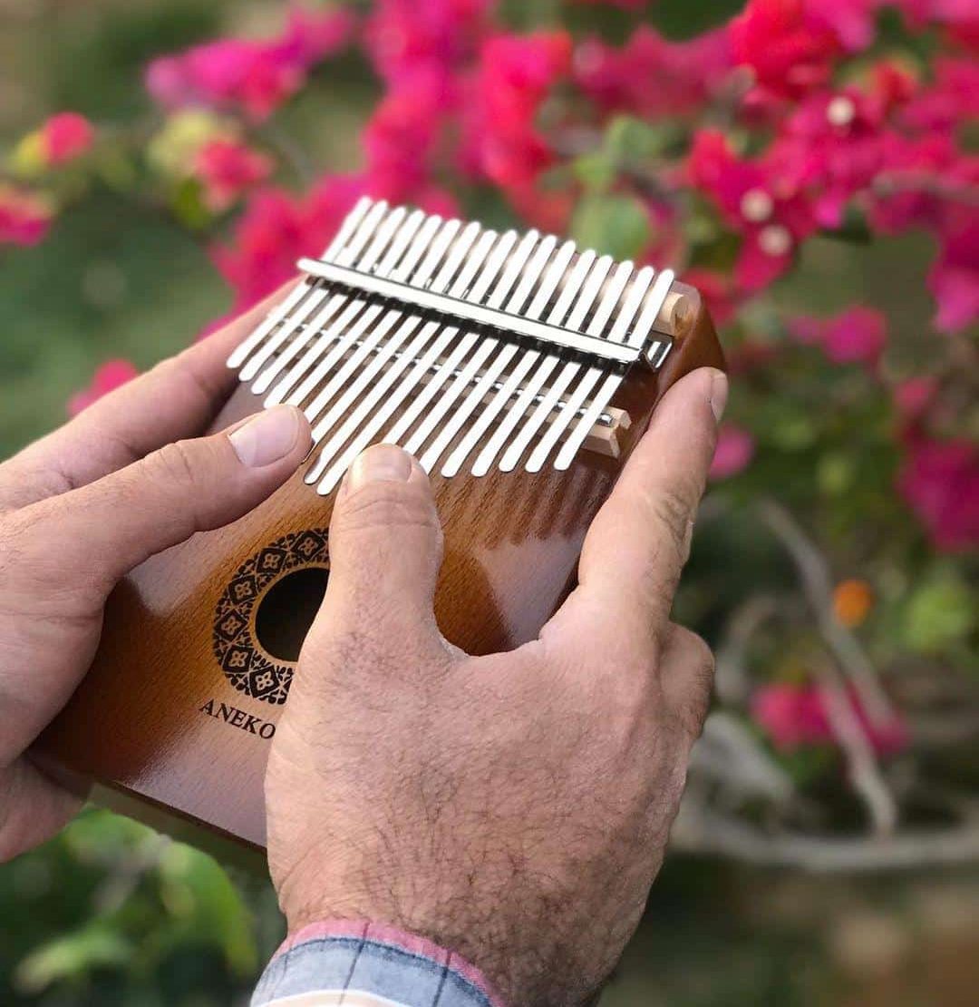 کالیمبا ساز خانوادگی