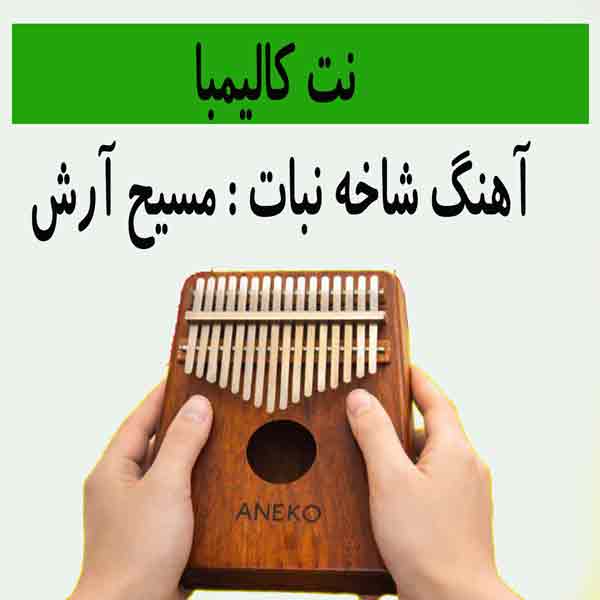 آهنگ شاه بیت (مسیح آرش)با کالیمبا همراه نت کالیمبا