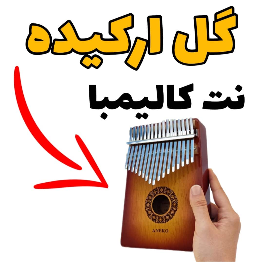 نت کالیمبا گل ارکیده-سطح مبتدی