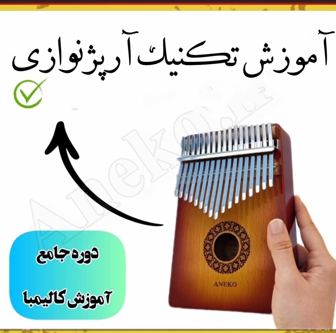 IMG 20240803 105252