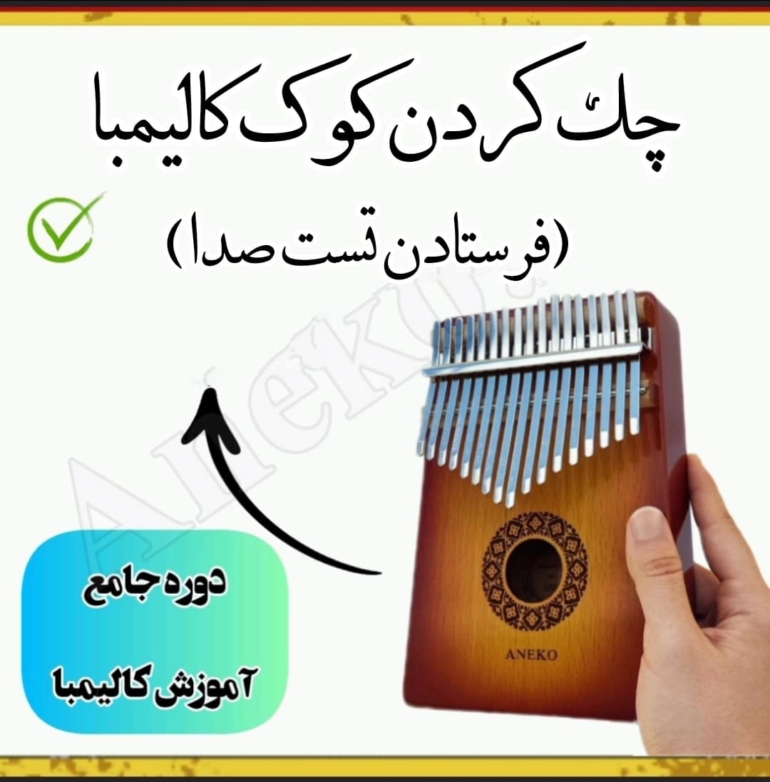 دوره جامع آموزش کالیمبا(سطح مبتدی تا پیشرفته) 2 IMG 20240827 124555