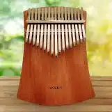 کالیمبا آنکو مدل فلت-aneko-k17-flat