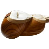 ساز تار حرفه‌ای چوب توت