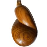 ساز تار حرفه‌ای صدای زلال و ژوست