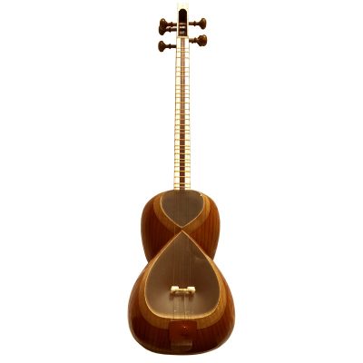 خرید ساز تار حرفه‌ای